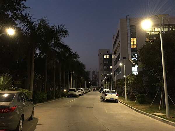 40W LED Wave Solar Street Light With Flexible Solar Panels-2FSG145-NEWLIGHT ENERGY