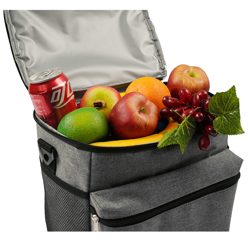Portable Insulated Cooler Bag