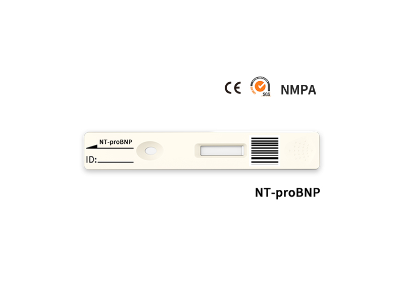 NT-PROBNP Szybki test ilościowy