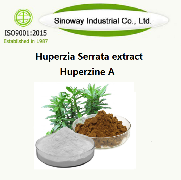 Ekstrakt Huperzia Serrata / Huperzine A 102518-79-6