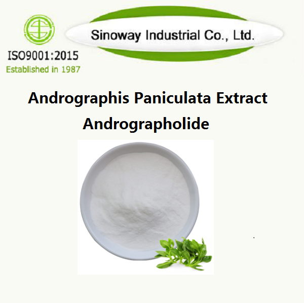 Ekstrakt Andrographis Paniculata / Andrographolid