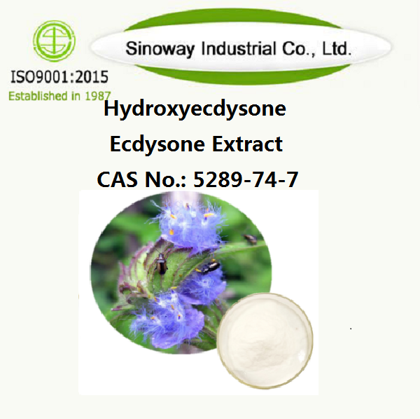 Hydroksyekdyzon; Ekstrakt ekdysonu β-ekdyzon 5289-74-7