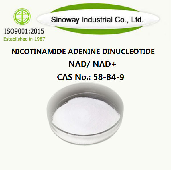 Dinukleotyd nikotynamidoadeninowy NAD 53-84-9