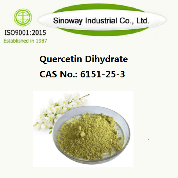 Dihydrat kwercetyny 6151-25-3